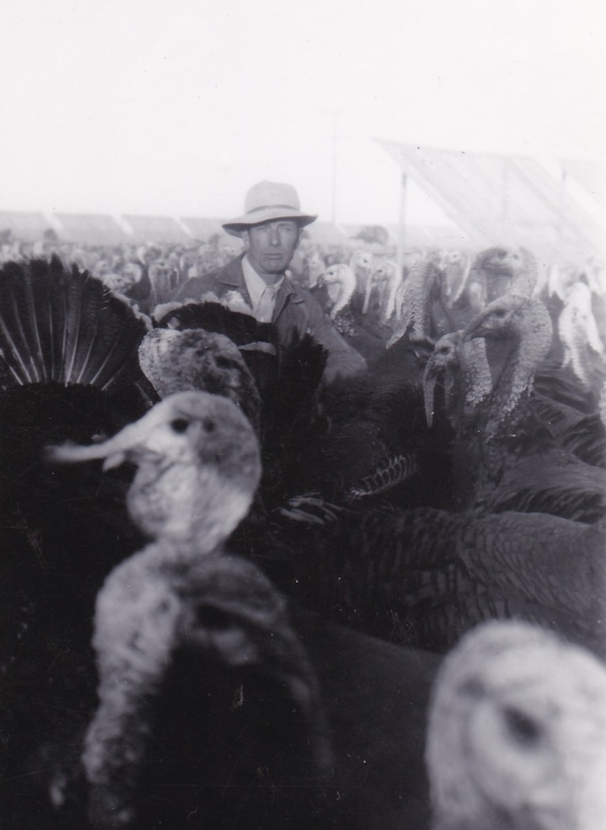 Uncovering the Dark Side of the Countryside: A Photographic Exploration of Farm Noir