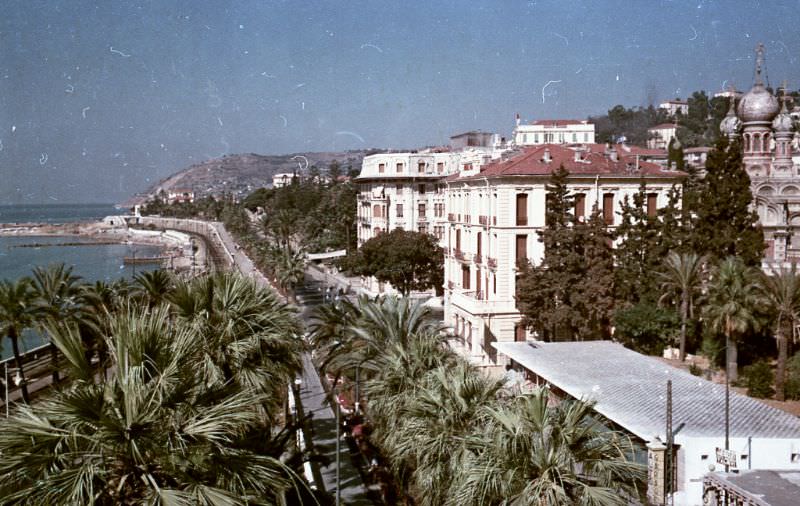 Palm lined street, France, 1950