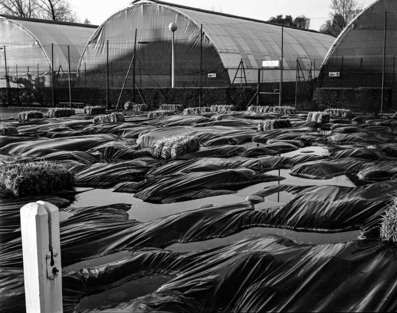 Tennis courts, North Tours, France, 1989