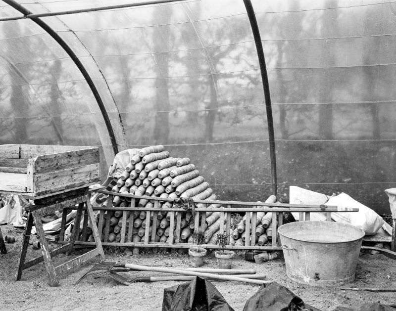 Villandry garden shed, France, 1989