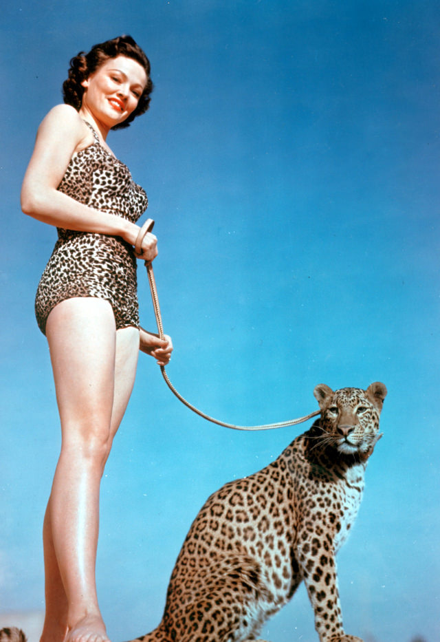 Wild Beauty: Gene Tierney Sizzles in Leopard Skin Swimsuit with a Real Leopard!