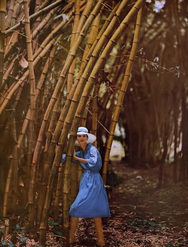 Carmen Dell'Orefice in blue Supima cotton shirtwaist dress by David Crystal, photo by Gleb Derujinsky, Hawaii, Harper's Bazaar, January 1959