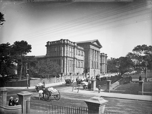 The Heart of Sydney: A Look at Hyde Park in the Early 1900s