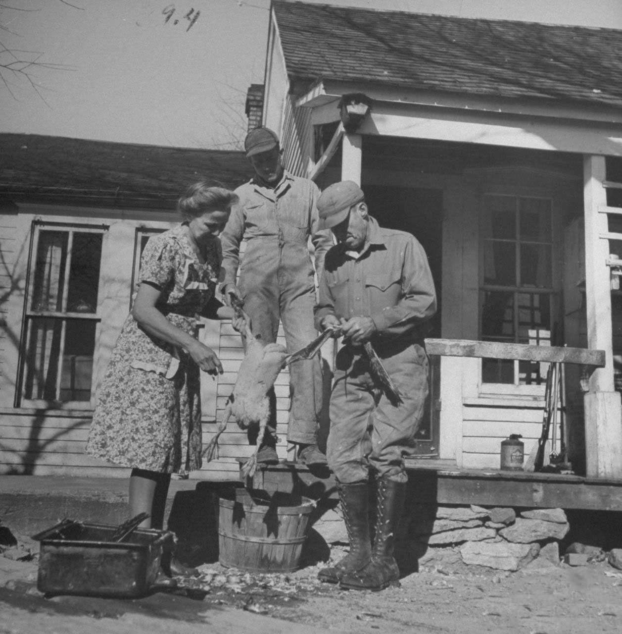 James F. Irwin (R), his wife and son preparing a goose for an early Christmas dinner to celebrate safe return of sons and sons-in-law from WW II.
