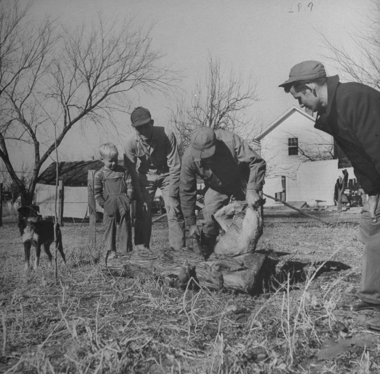 Family members watching James F. Irwin (C) killing a goose for an early Christmas dinner to celebrate safe return of sons and sons-in-law from WW II.