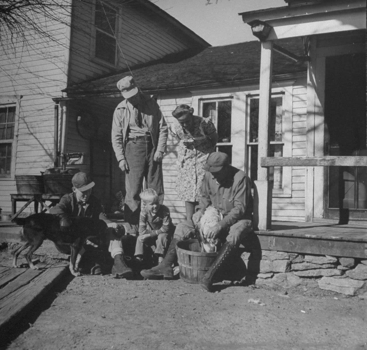 Family members watching James F. Irwin (R) plucking a goose for an early Christmas dinner to celebrate safe return of sons and sons-in-law from WW II.