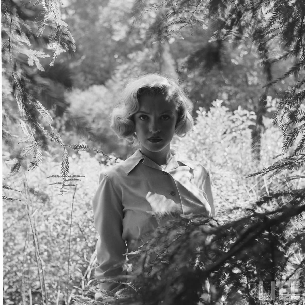 The Girl Next Door: Iconic Photographs of Marilyn Monroe Hiking in the Woods, 1950