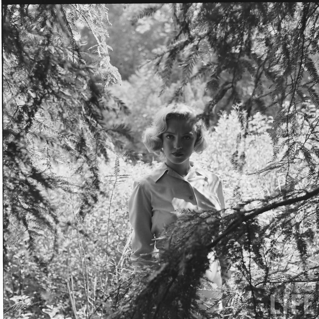 The Girl Next Door: Iconic Photographs of Marilyn Monroe Hiking in the Woods, 1950