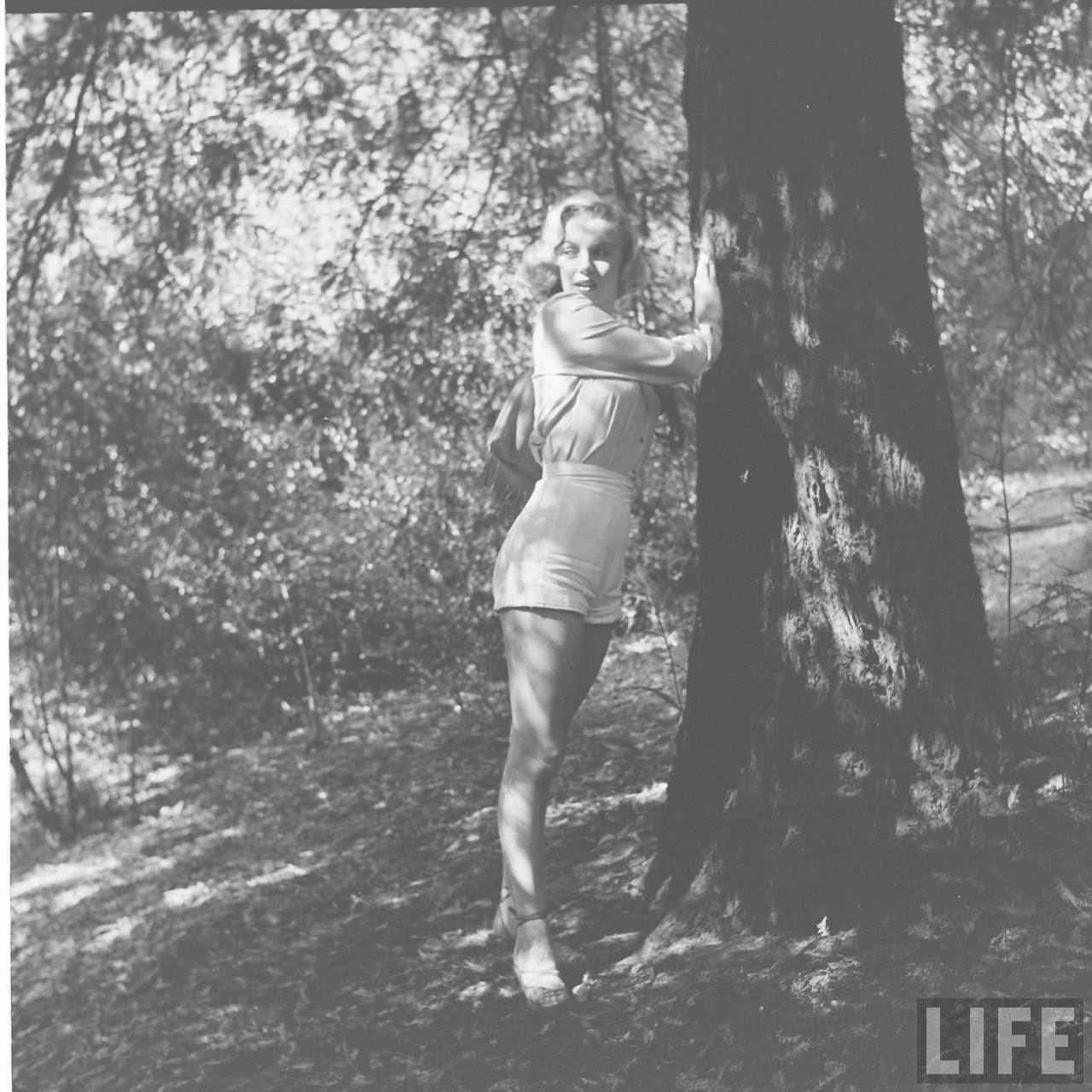 The Girl Next Door: Iconic Photographs of Marilyn Monroe Hiking in the Woods, 1950