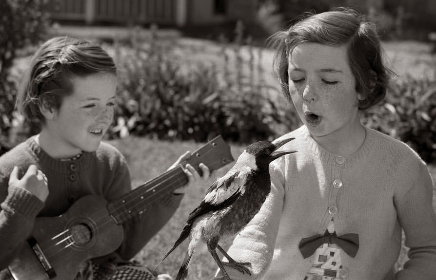 A Glimpse into the Lives of Melbourne's Children in the 1940s-50s