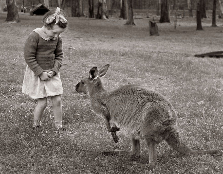 A Glimpse into the Lives of Melbourne's Children in the 1940s-50s