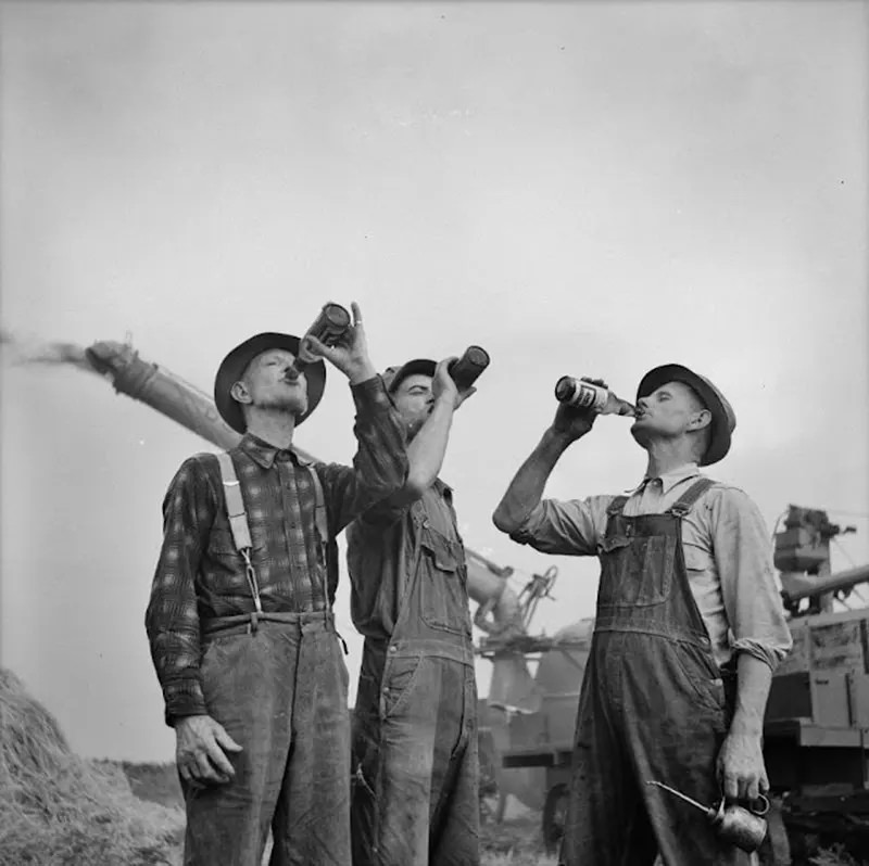 Farmers drinking beer during a hard day’s work, Jackson, Michigan, fall 1941.