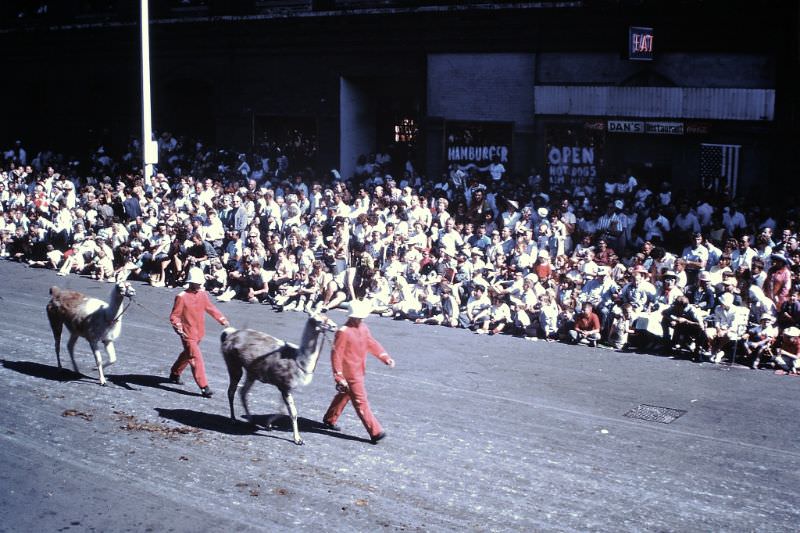 The Spectacular Milwaukee Circus Parade of the 1960s: A Blast from the Past!