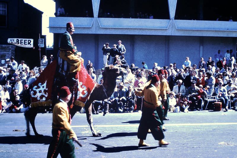 The Spectacular Milwaukee Circus Parade of the 1960s: A Blast from the Past!