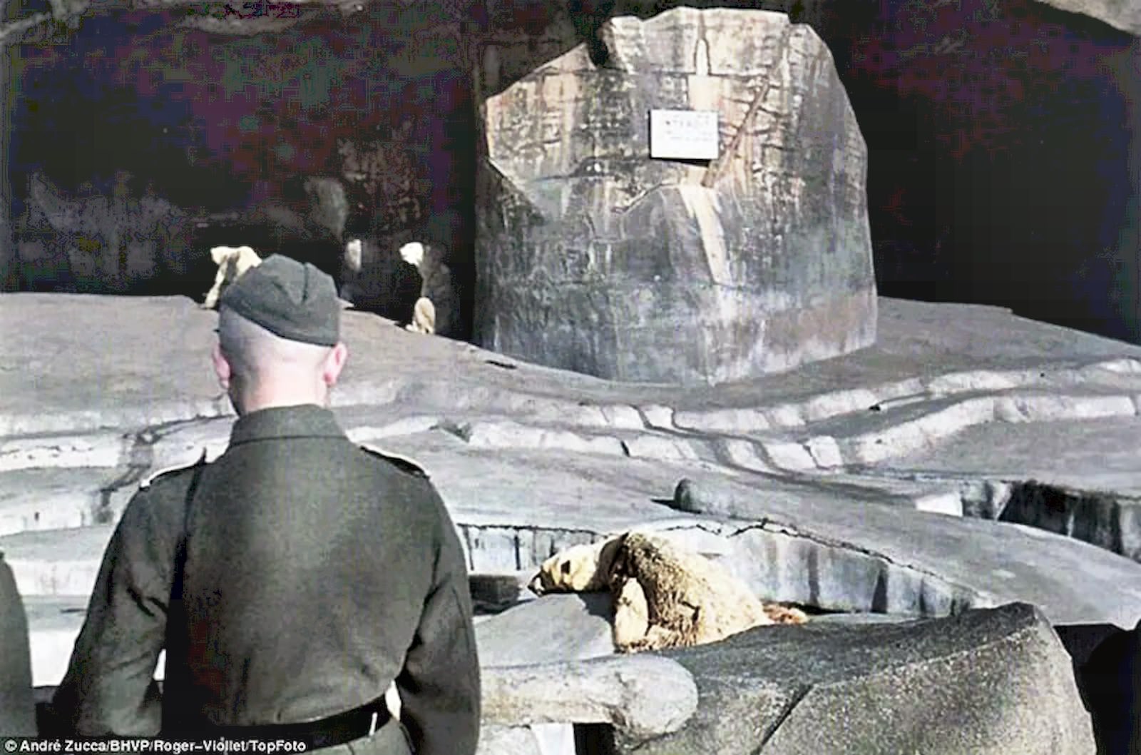 A German soldier looks on at lethargic-looking polar bears at the Ménagerie du Jardin des Plantes, Paris’s famous zoo.