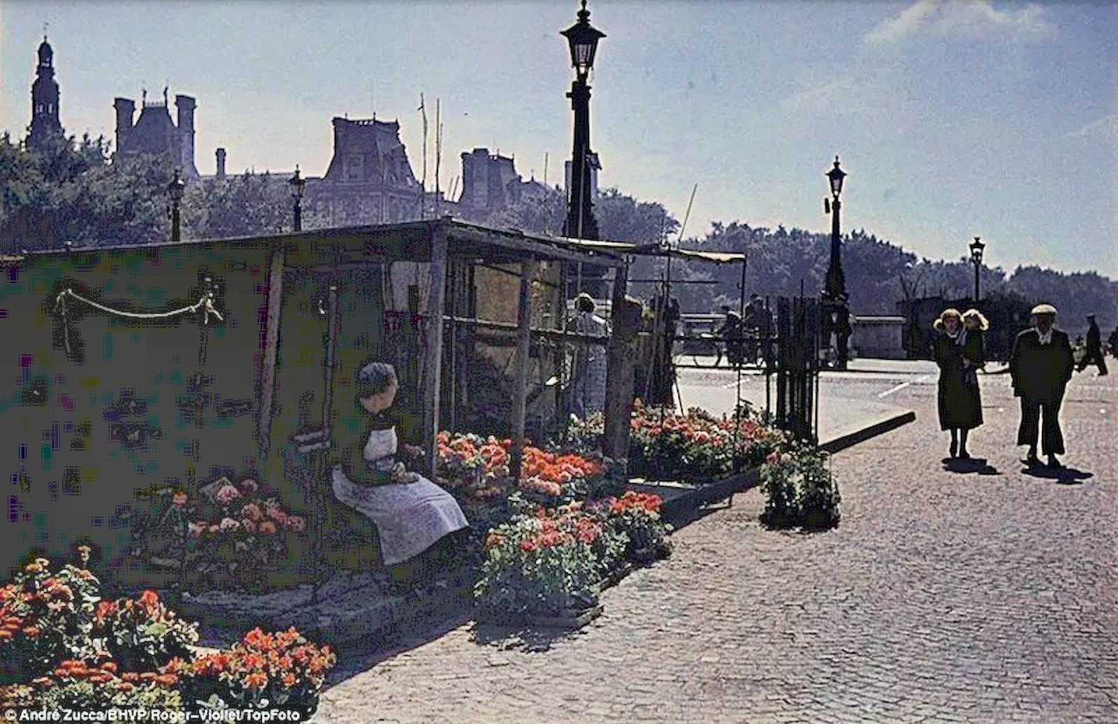 A flower seller sits outside her shop on a bright, sunny day.