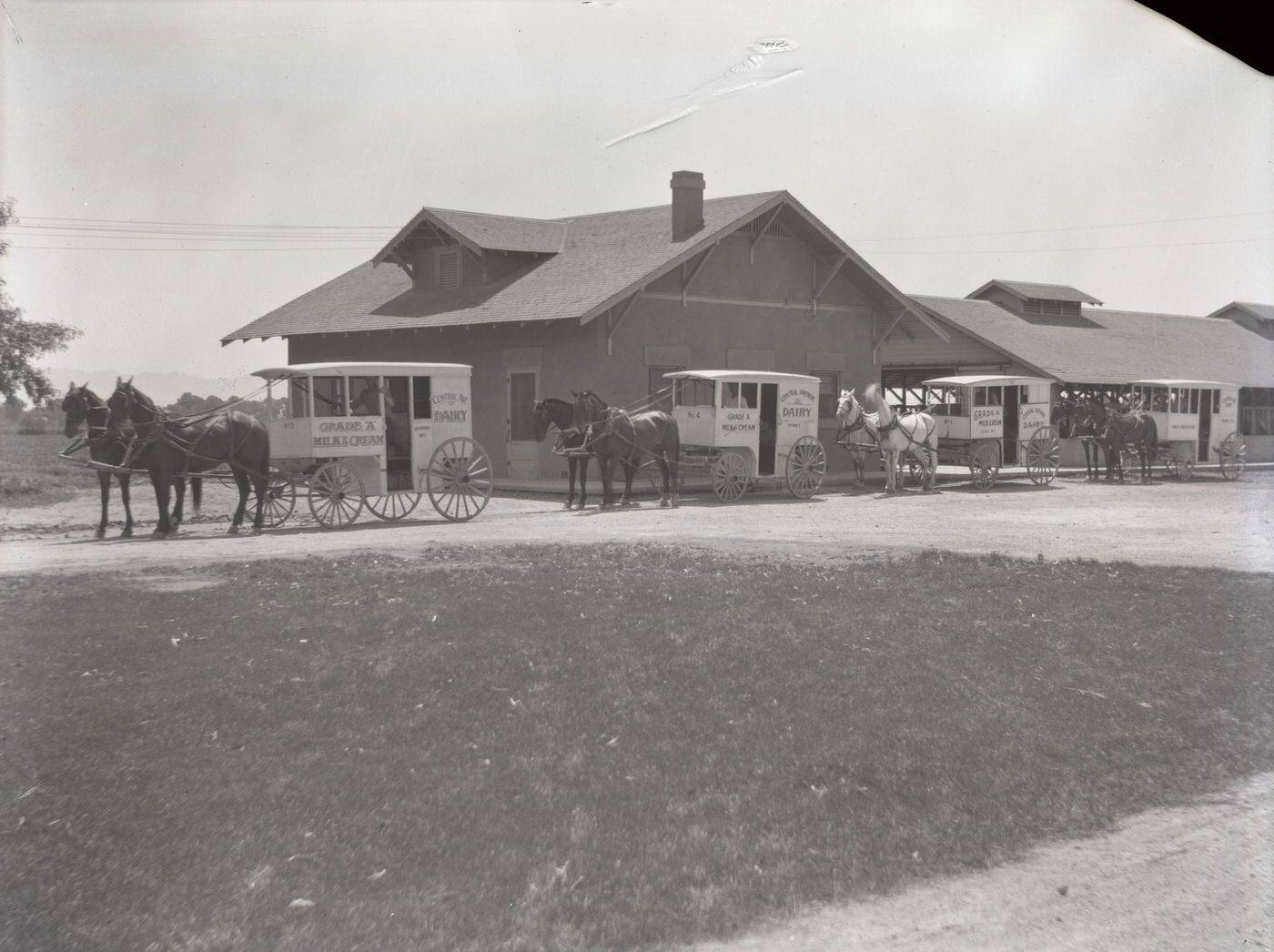 Milk Wagons Lined at Central Avenue Dairy, 1930s