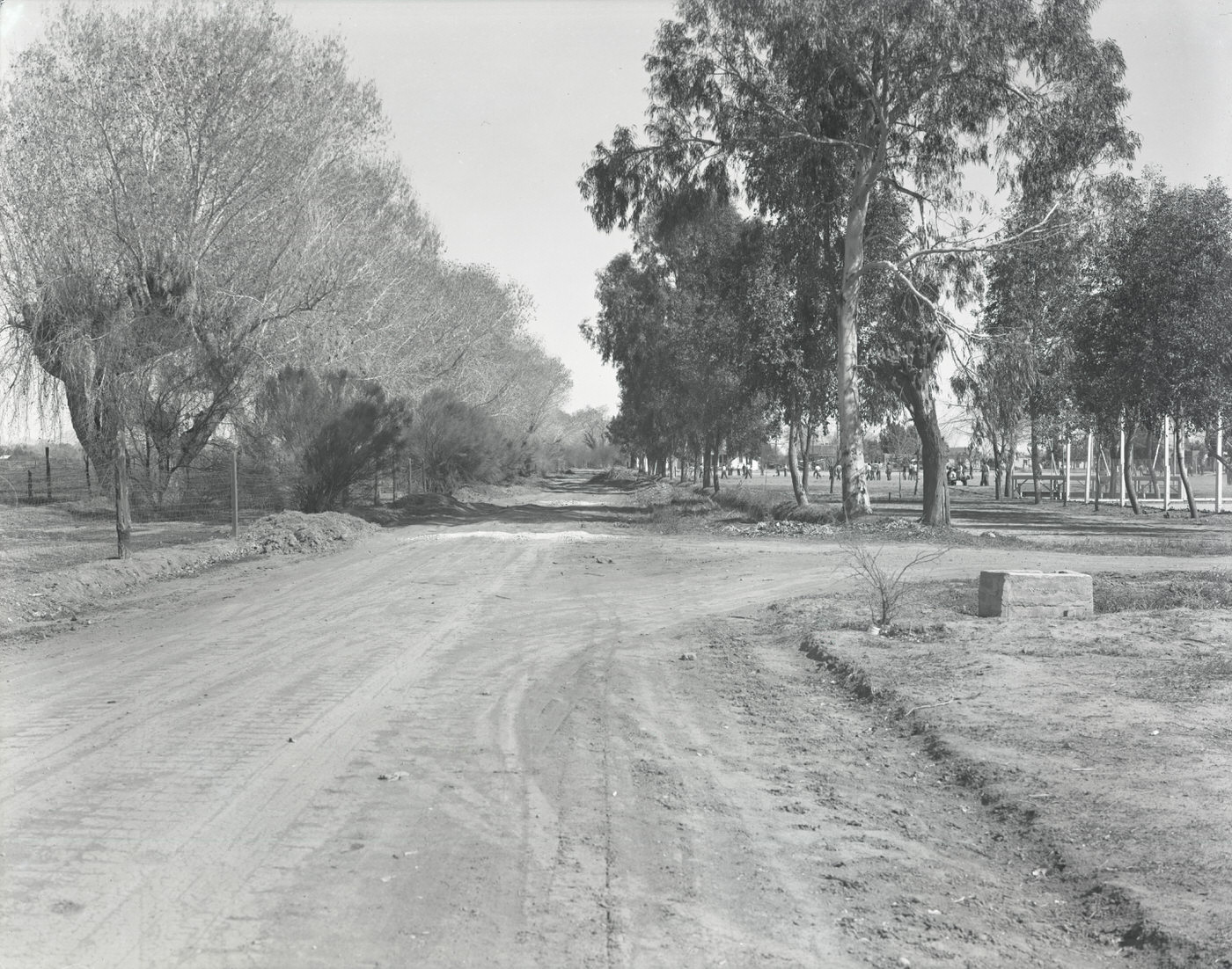 Orangewood Avenue. Shows Glendale Grammar on the right and Manistee Ranch on the left, 1930s