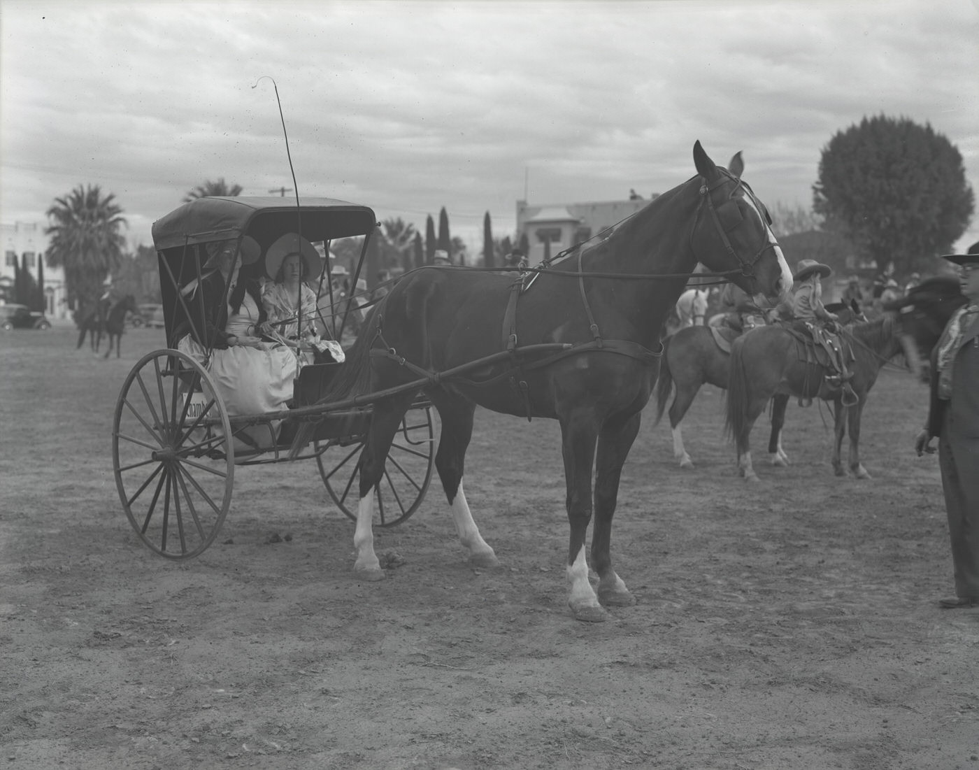 Henry Chambers Horse and Buggy Company Vehicle, 1930s