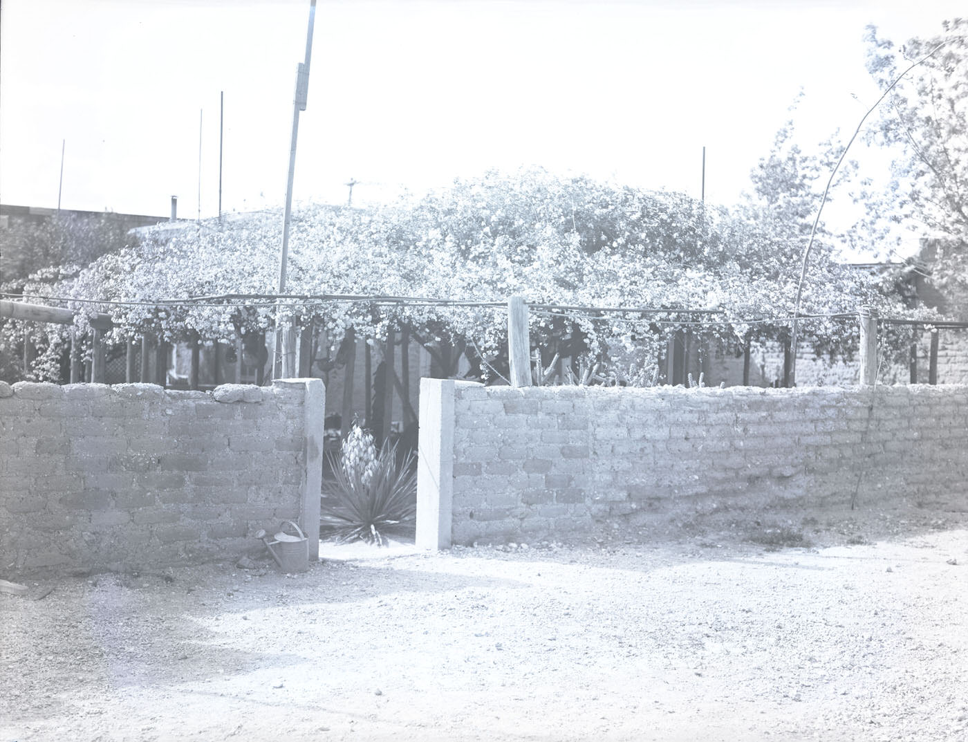 Scenic View of a Garden, 1941