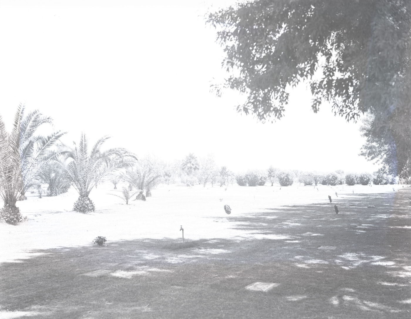 Greenwood Memorial Park Landscape, 1941