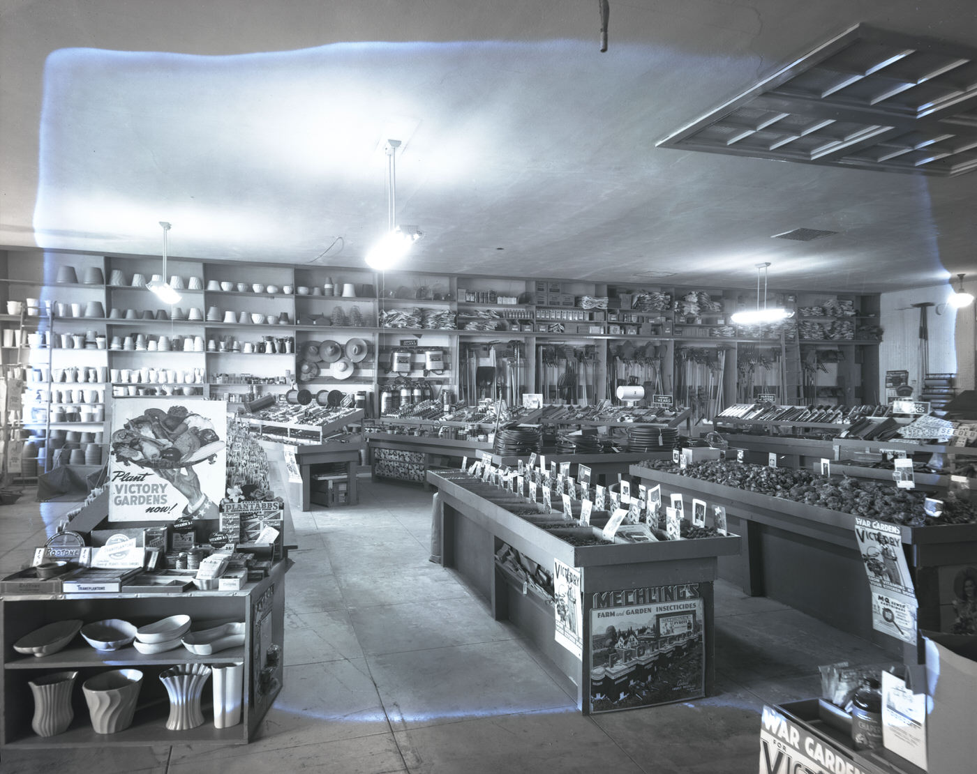Liefgreen Seed Co. Store Interior, 1943