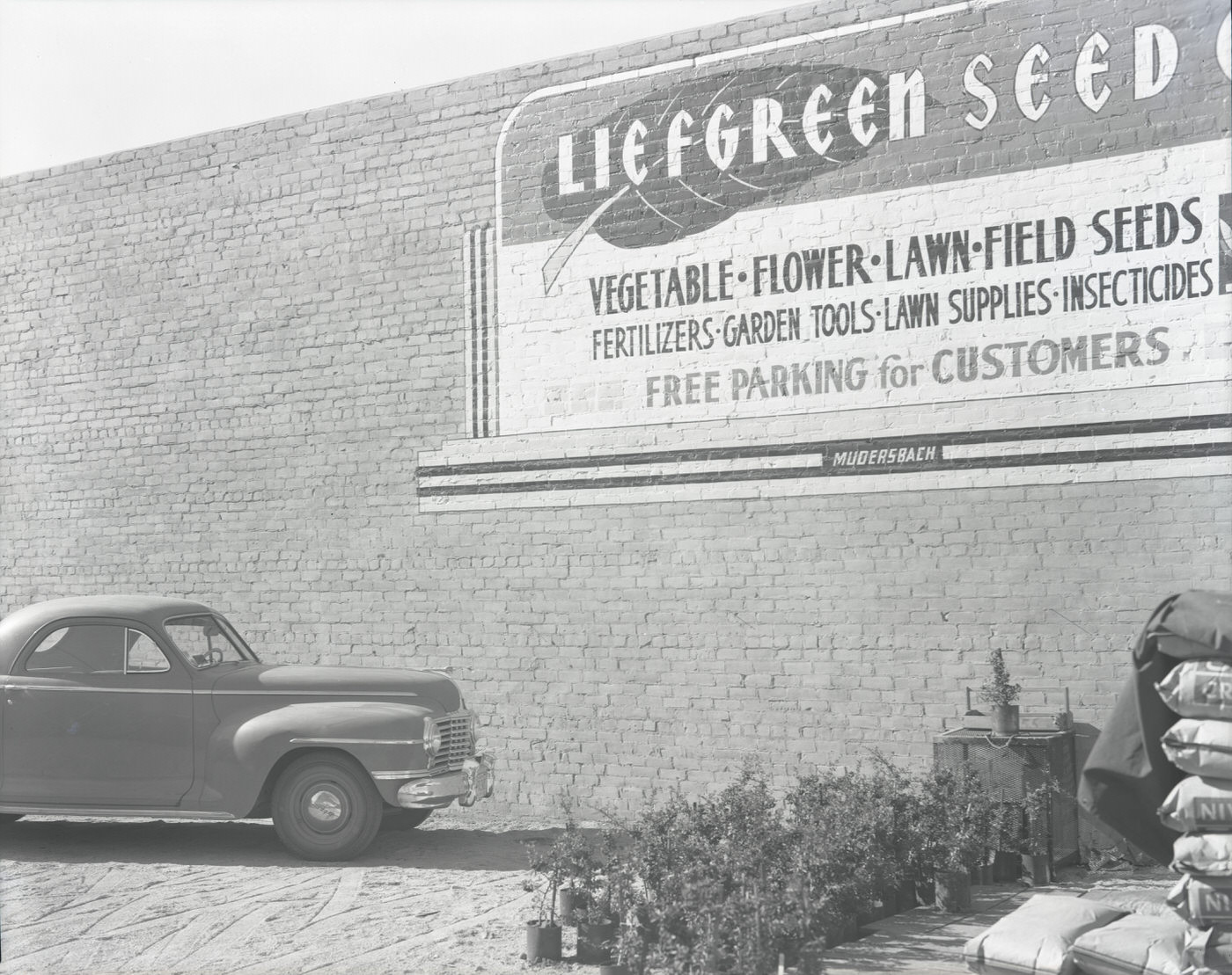 Liefgreen Seed Co. Store Exterior, 1943
