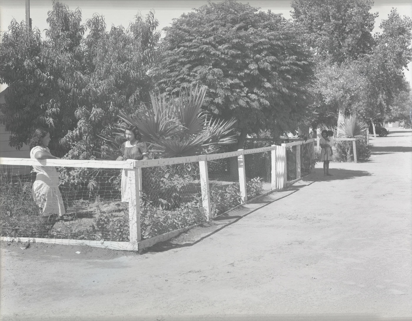 Garden by a Ranch House, 1943