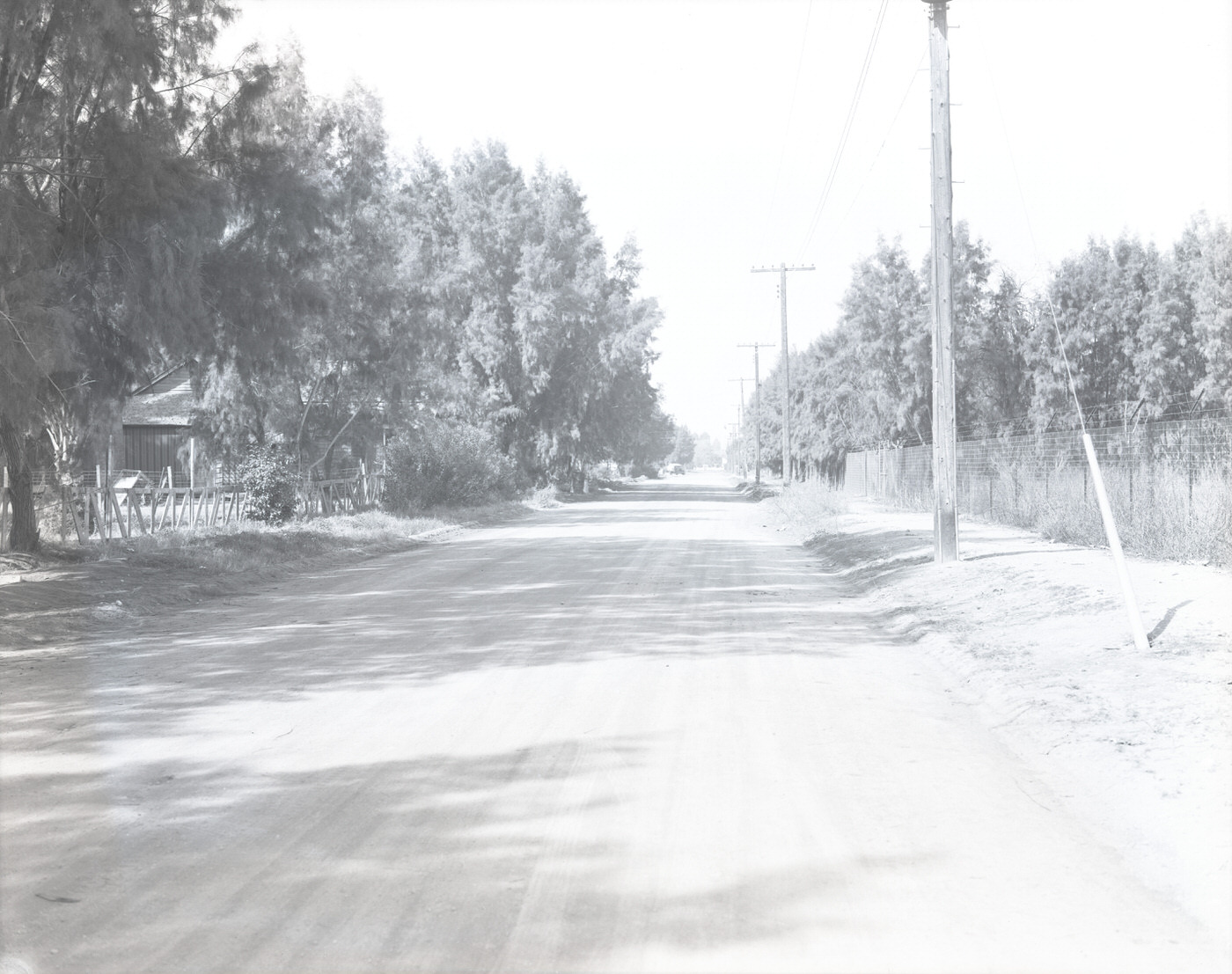 E. Polk Street, 1944