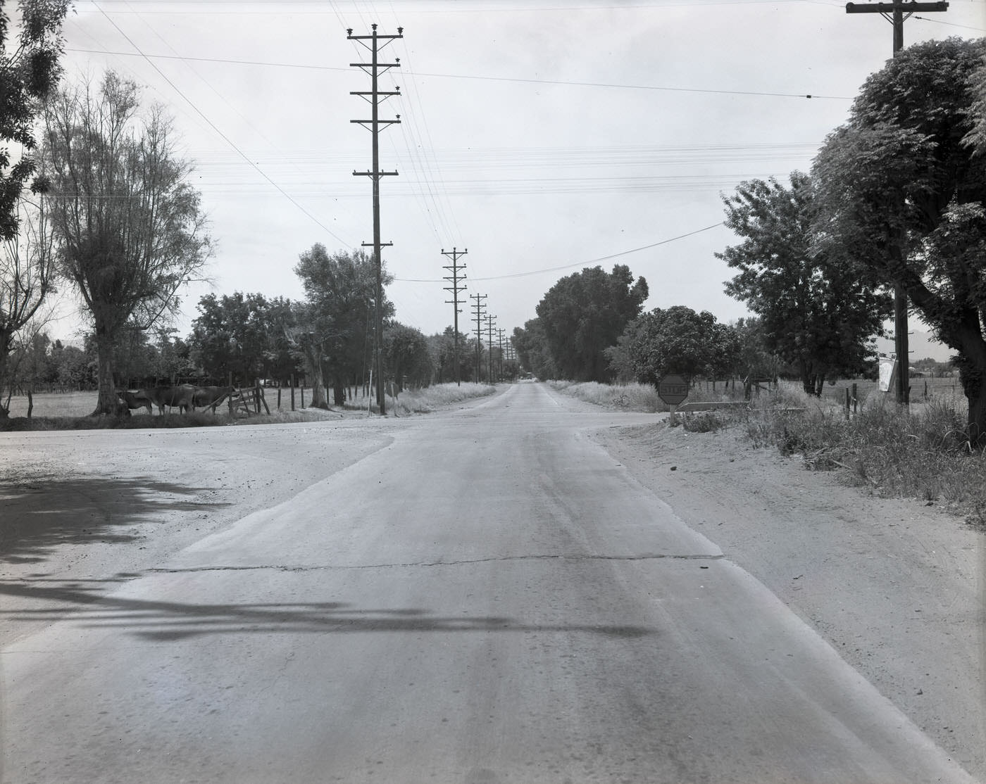 Near Corner of Mission and Route 11, 1945