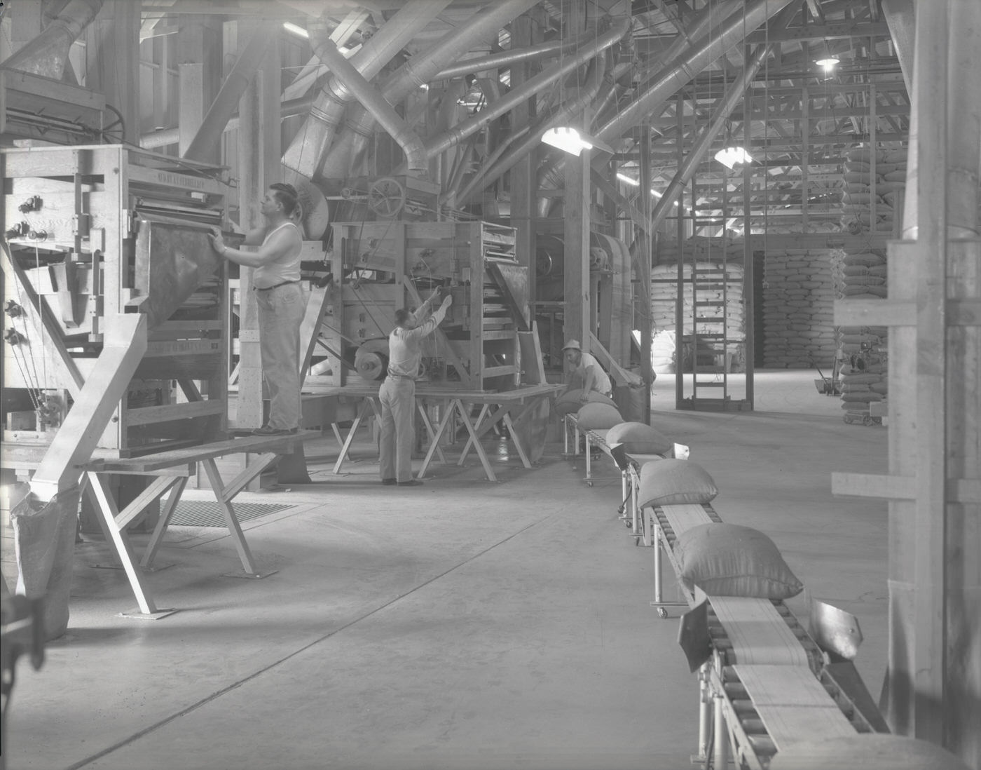 Workers Processing Seeds, 1946