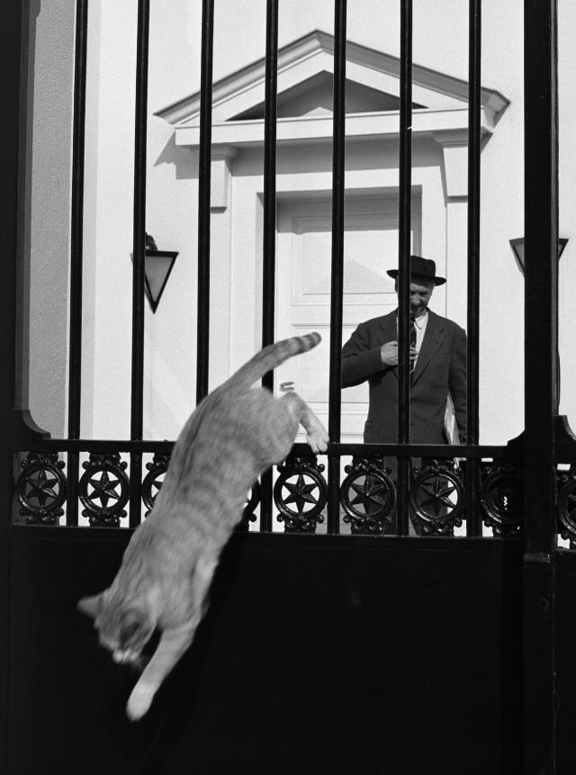 Felix Labisse, peintre-decorateur, Neuilly-sur-Seine, 1952.