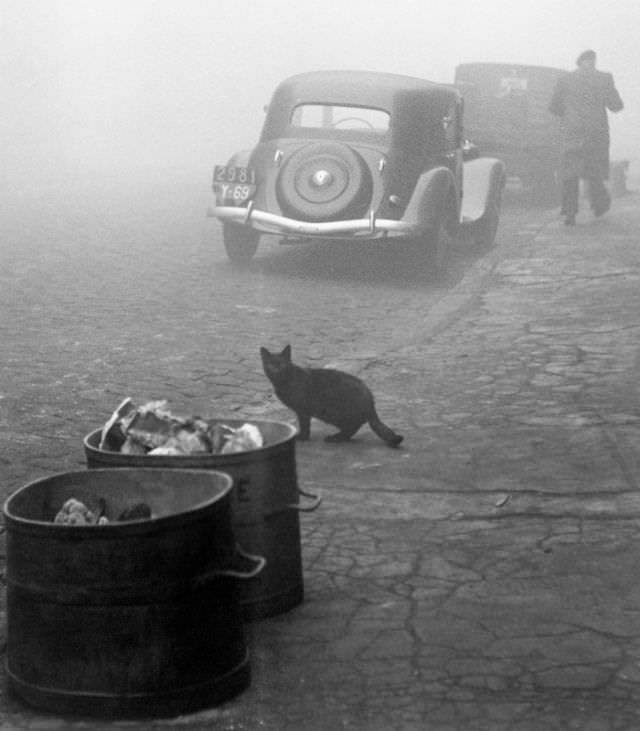 Petit matin brumeux, Lyon, 1950.