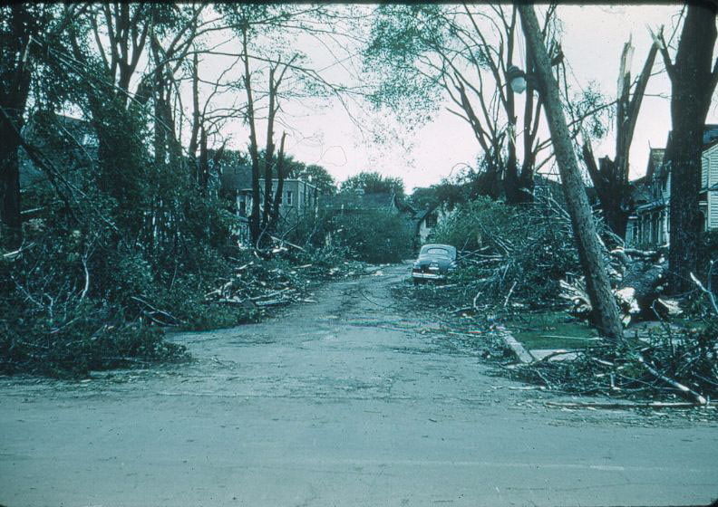 Looking north down Euphemia St. to George St.