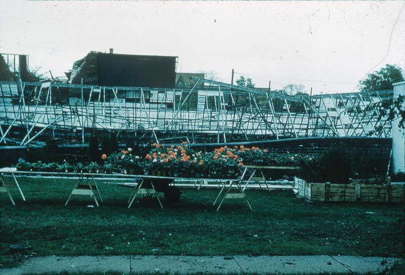 Macklin's Greenhouses