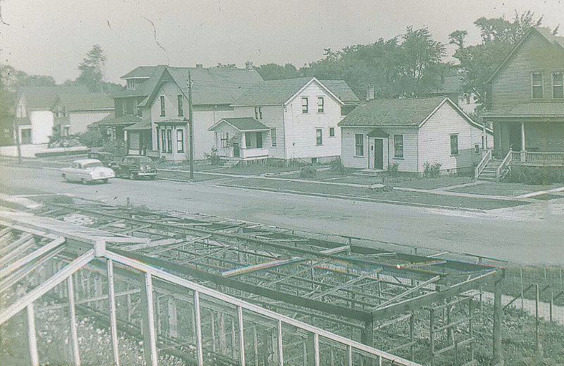 Macklin's Greenhouses