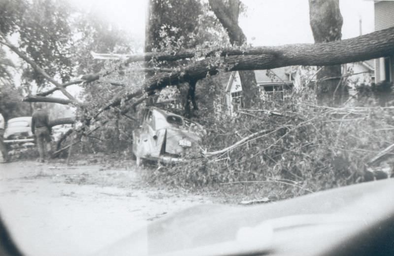 Maria St. just west of Mitton St.