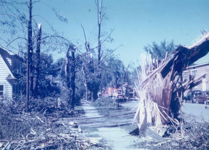 Tornado damage on Mitton St.