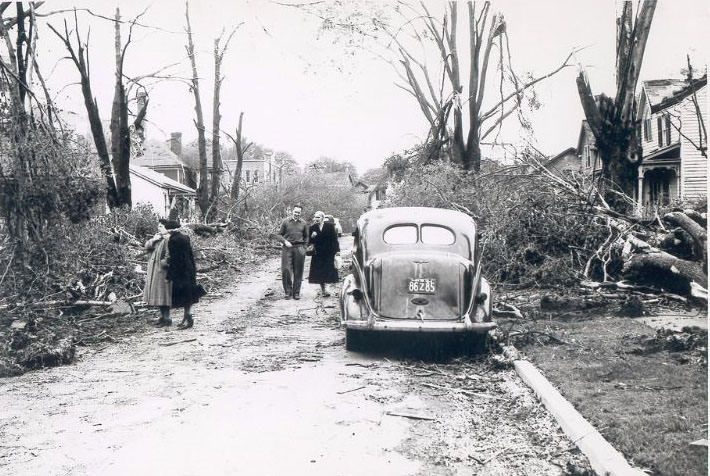 Euphemia St. looking north from Lochiel St.