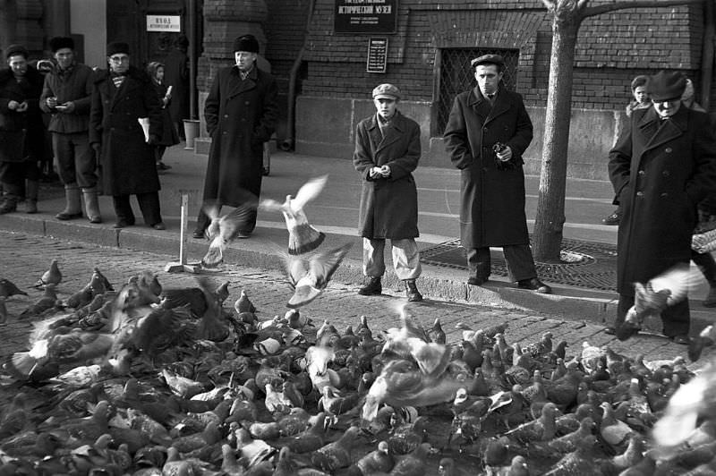 People gathering to watch and feed the pigeons.