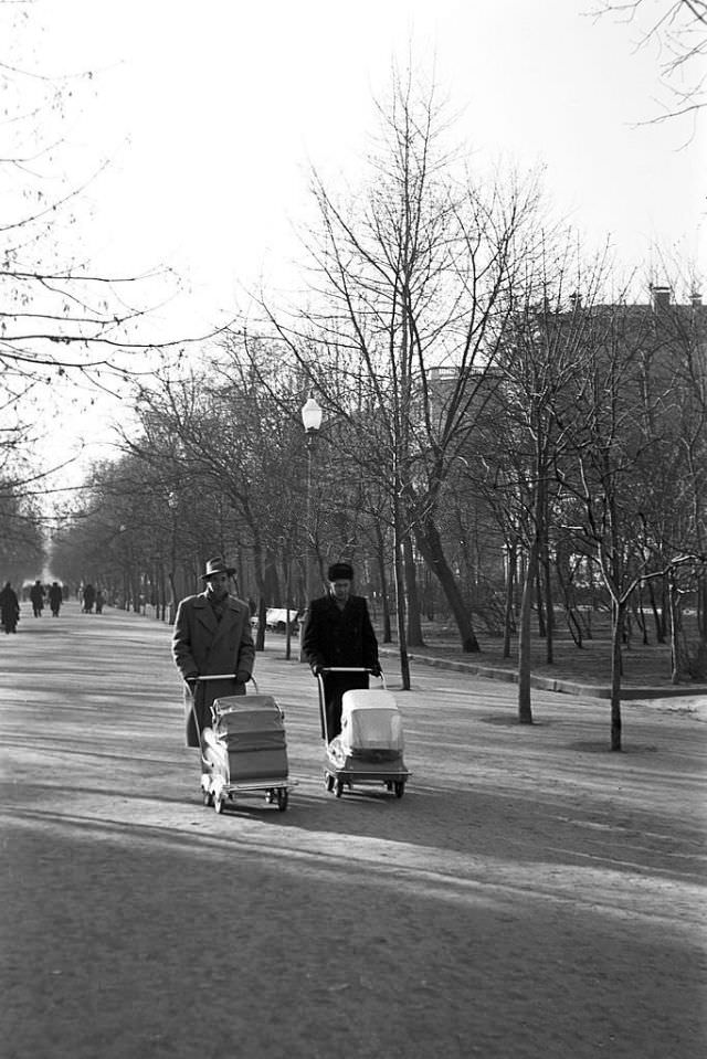 Two people pushing pram side by side at a park.
