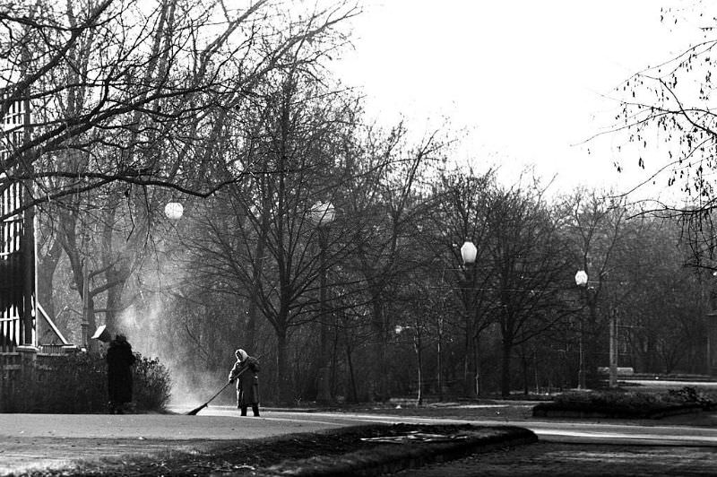 A woman sweeping a broom at a park.