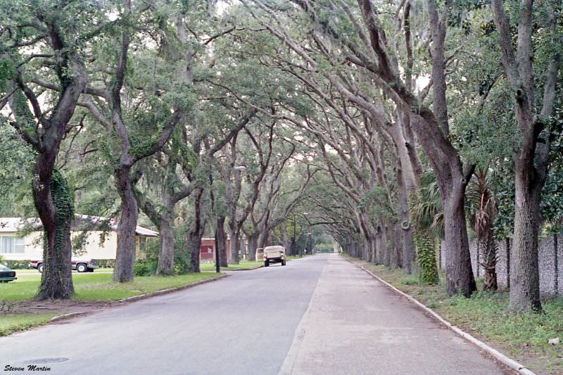 Magnolia Avenue, St. Augustine, 1986