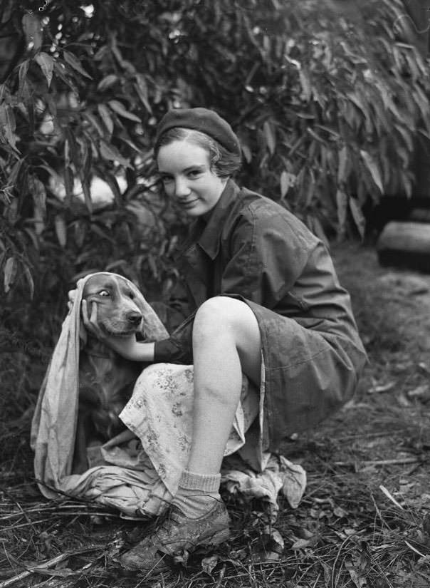 Wags, Whines, and Wins: Behind-the-Scenes of the 1950 St Ives Dog Show