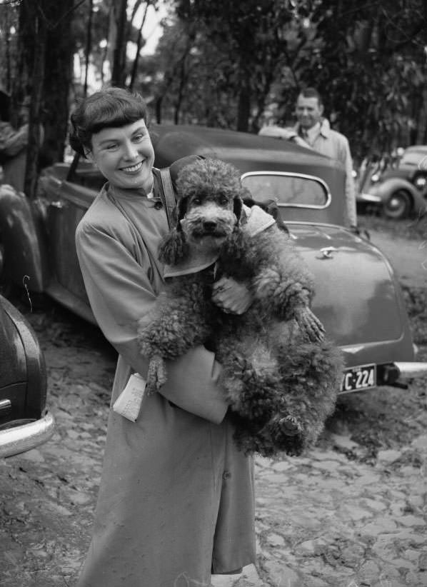 Wags, Whines, and Wins: Behind-the-Scenes of the 1950 St Ives Dog Show