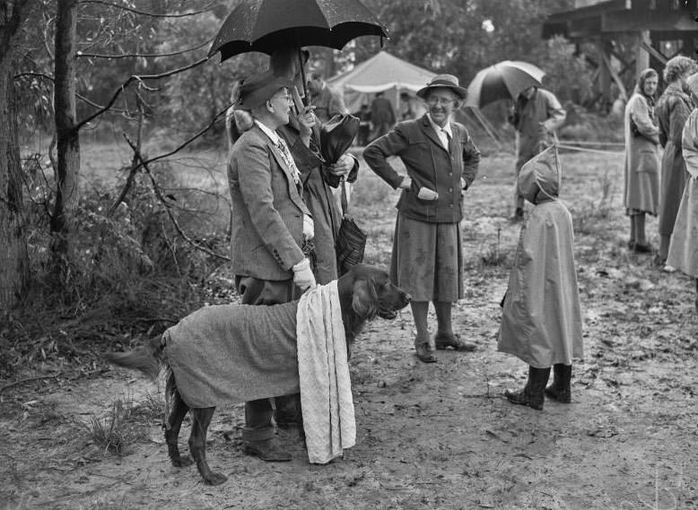 Wags, Whines, and Wins: Behind-the-Scenes of the 1950 St Ives Dog Show