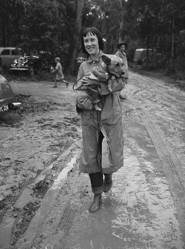 Wags, Whines, and Wins: Behind-the-Scenes of the 1950 St Ives Dog Show