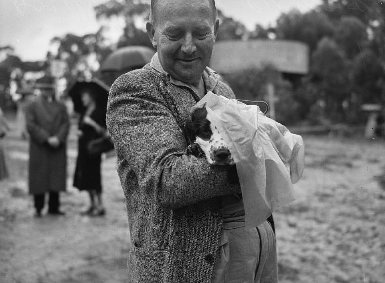 Wags, Whines, and Wins: Behind-the-Scenes of the 1950 St Ives Dog Show