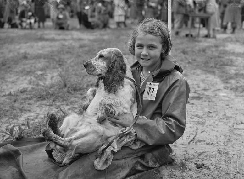 Wags, Whines, and Wins: Behind-the-Scenes of the 1950 St Ives Dog Show
