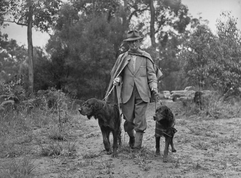 Wags, Whines, and Wins: Behind-the-Scenes of the 1950 St Ives Dog Show